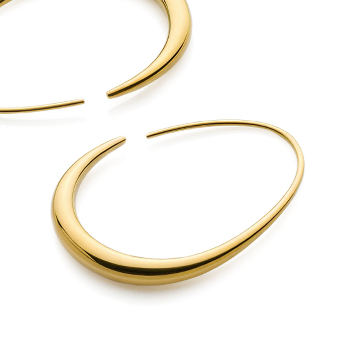 Sculpted Hoops (Gold)