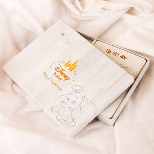 Disney Passport Cases & Holders - Customizable