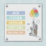 Baby Boy Elephant Gallery Print